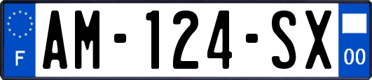AM-124-SX