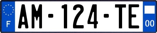 AM-124-TE