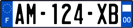 AM-124-XB