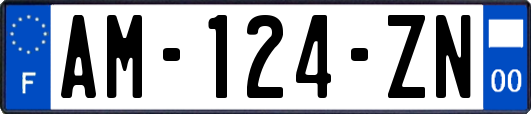 AM-124-ZN