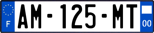 AM-125-MT