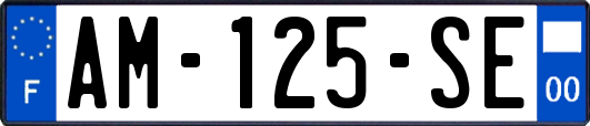 AM-125-SE