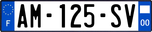 AM-125-SV