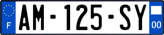 AM-125-SY