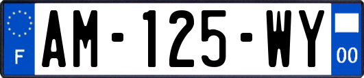 AM-125-WY