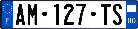 AM-127-TS