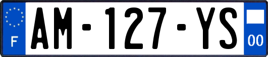AM-127-YS