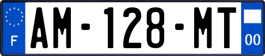AM-128-MT