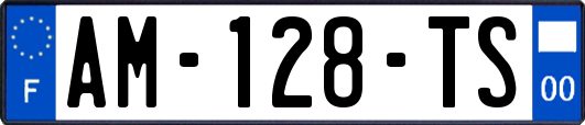 AM-128-TS
