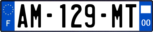 AM-129-MT
