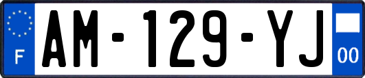 AM-129-YJ