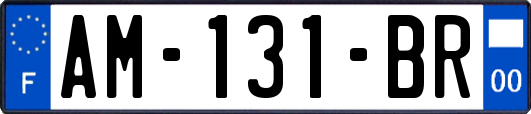 AM-131-BR