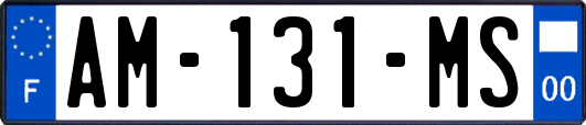 AM-131-MS