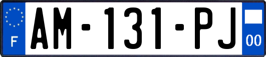 AM-131-PJ
