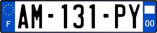 AM-131-PY