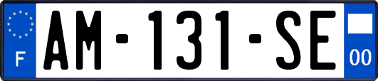 AM-131-SE