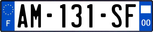 AM-131-SF