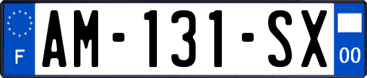 AM-131-SX
