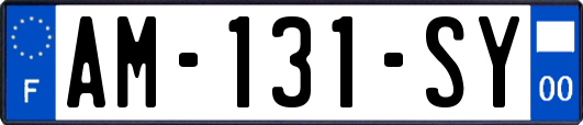 AM-131-SY