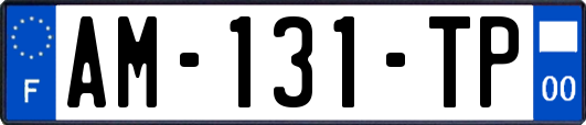 AM-131-TP