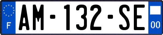 AM-132-SE