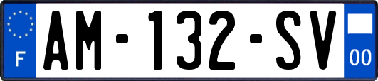 AM-132-SV