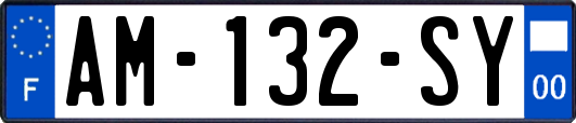 AM-132-SY