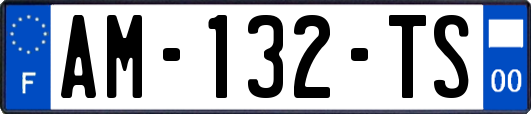 AM-132-TS