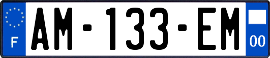 AM-133-EM