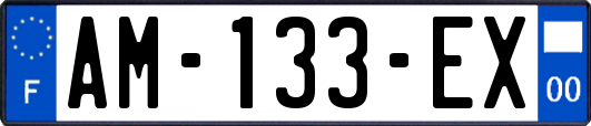 AM-133-EX