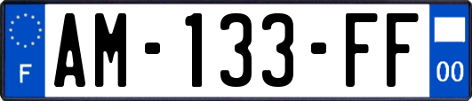 AM-133-FF