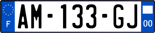 AM-133-GJ