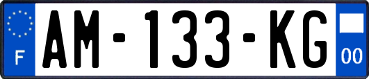 AM-133-KG