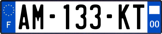 AM-133-KT