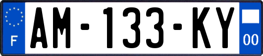 AM-133-KY