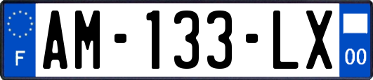 AM-133-LX