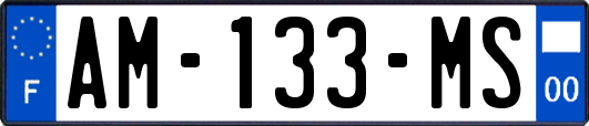 AM-133-MS