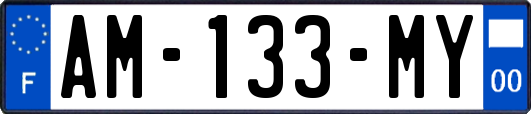 AM-133-MY