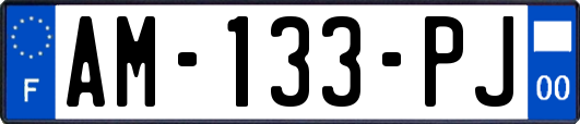AM-133-PJ