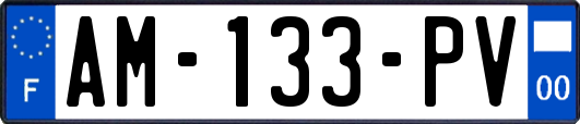 AM-133-PV