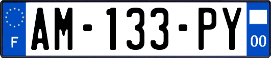 AM-133-PY