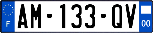 AM-133-QV