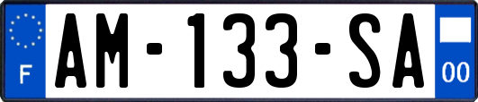 AM-133-SA