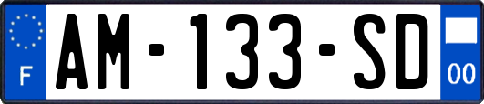 AM-133-SD
