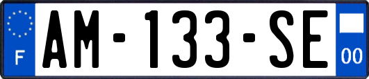 AM-133-SE