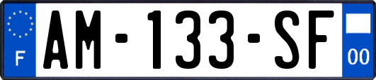 AM-133-SF