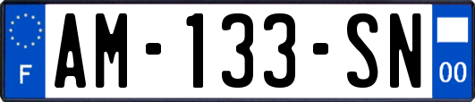 AM-133-SN
