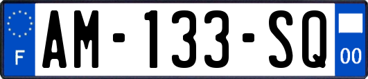 AM-133-SQ