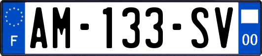 AM-133-SV