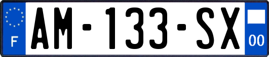 AM-133-SX